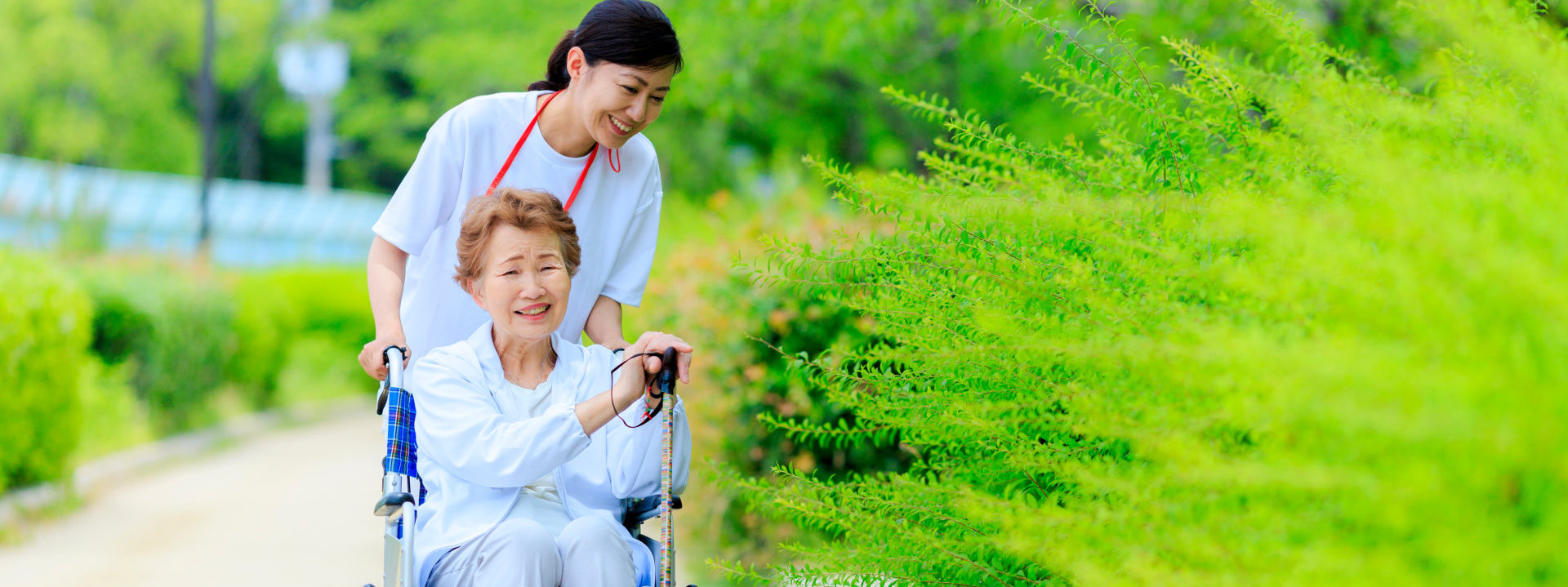 elderly female wheelchair and caregiver